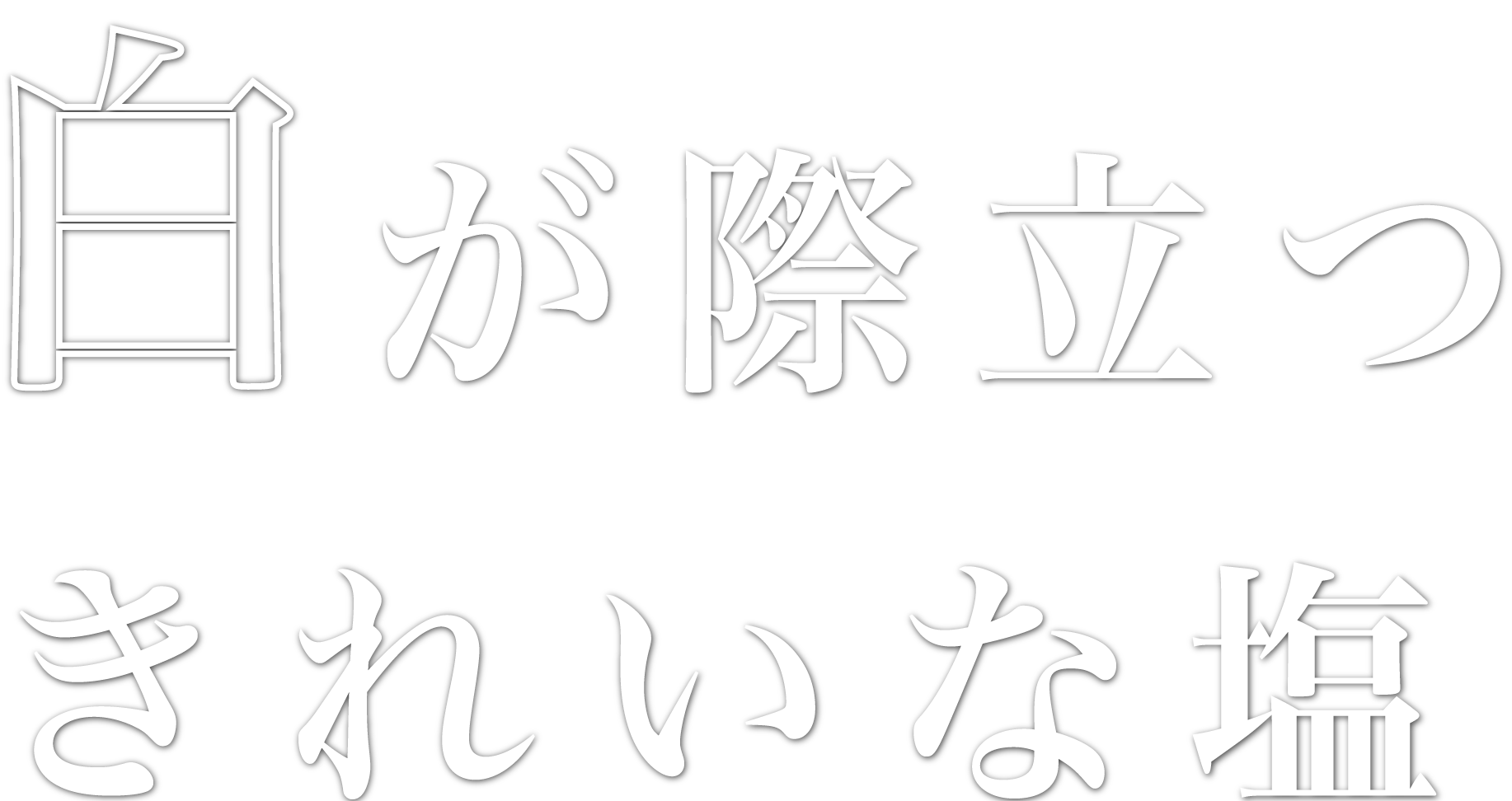 白が際立つきれいな塩